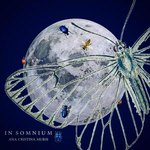 In Somnium