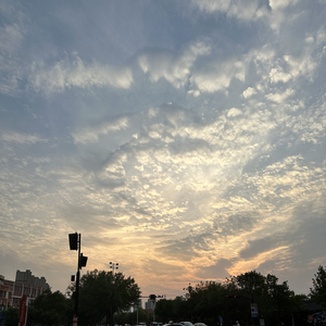 可惜不是你-至少花开过.wav