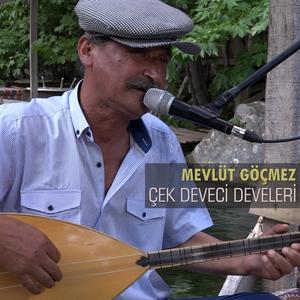 Çek Deveci Develeri