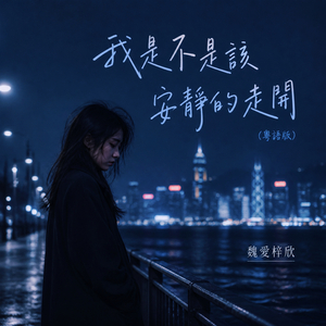 我不是该安静的走开