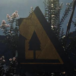 麦恩莉（cover方大同）