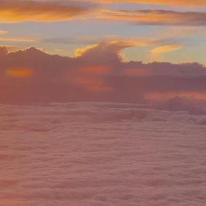 想念拟人化【温柔女声】