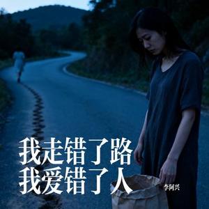 我走错了路我爱错了人