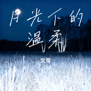 月光下的温柔