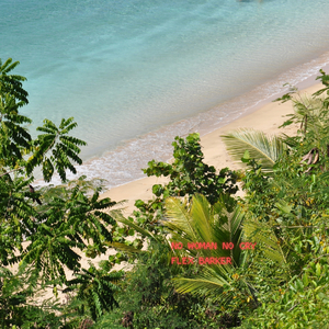 No Woman No Cry (Jamaica Charity Version)