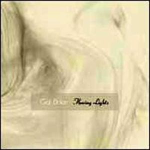 Misty Eventide of Violet Forest