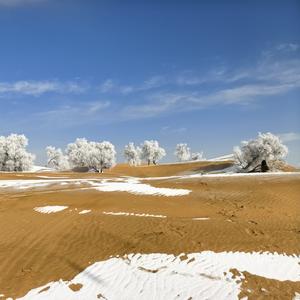 梦回内蒙古草原