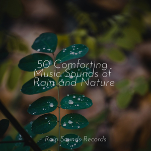 Whispers in the Grass