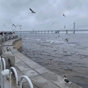 罗之豪-My Heart will Go On（v7777777 remix）