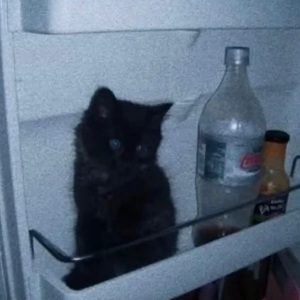 洋葱（汤令山版）