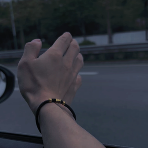 面会菜（张有志版）