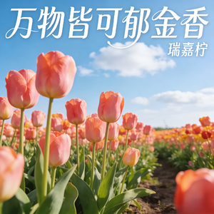 万物皆可郁金香