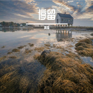 停留
