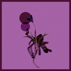 Section 31 (Original Mix)