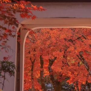 《烟火》温柔版