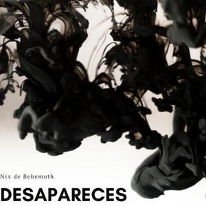 Desapareces