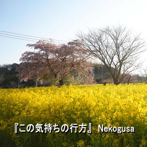 この気持ちの行方