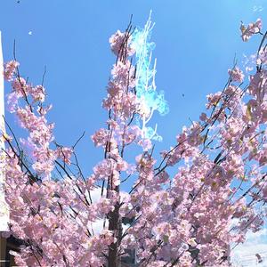 All in one single day