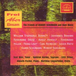 Bunte Reihe, Op. 30: No. 20, Tarantelle