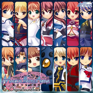 夜天を舞う黒き翼