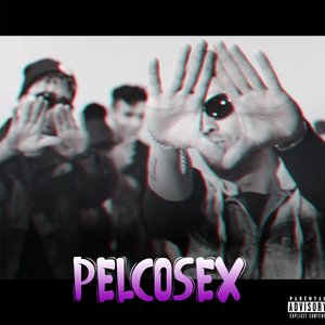 Pelcosex
