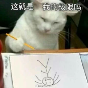回家的小道