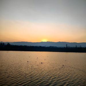 datka toldi （坏事）