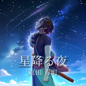 星降る夜
