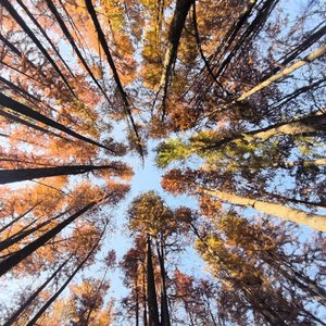 我想留在你心里