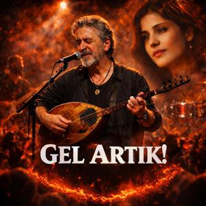 Gel Artık