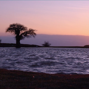 【FREE】落日飞车