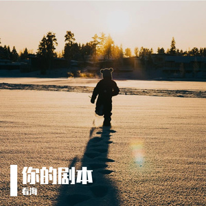 你的剧本