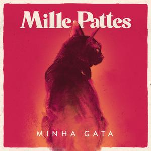 Minha Gata
