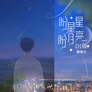 盼星星盼月亮 (DJheap九天版)