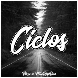 Ciclos