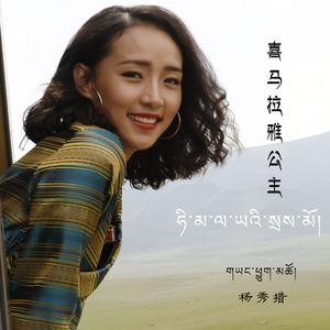 歌声与微笑 (Live)