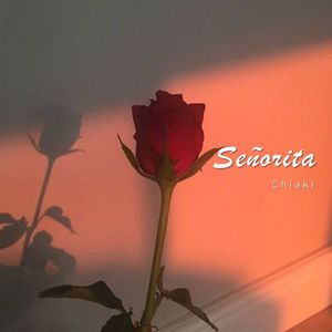Señorita feat.绯