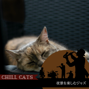 The Pianist's Lounge