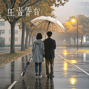 雨中的伞