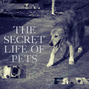 Cantankerous Club Members