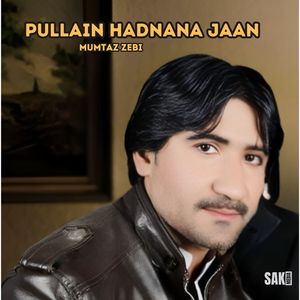 Sabz Jaan Mini Hmdillain Hamrah E