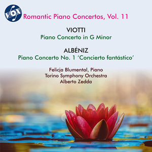 Violin Concerto No. 19 in G minor, G 91 (arr. D.G. Steibelt for piano and orchestra):II. Adagio non troppo