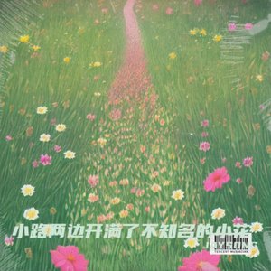 小路两边开满了不知名的小花