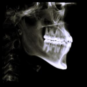 I Have Absolutely No Idea What I'm Doing