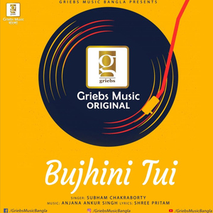 Bujhini Tui