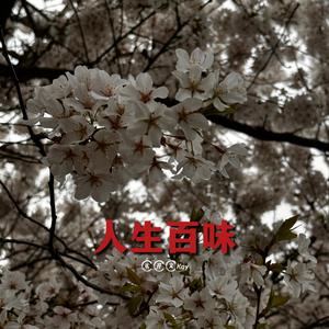 人生百味