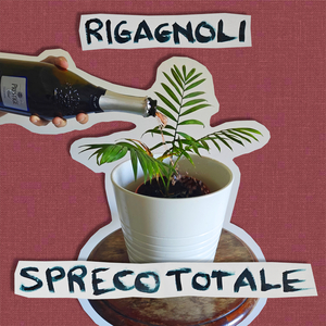 Spreco totale
