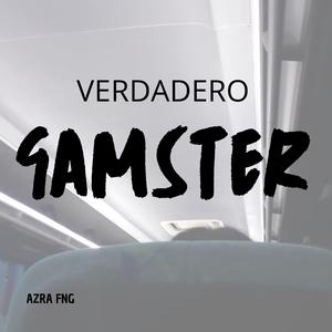 VERDADERO GAMSTER