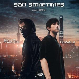 ALAN WALKER-SAD SOMETIMES（RiBinVen remix）