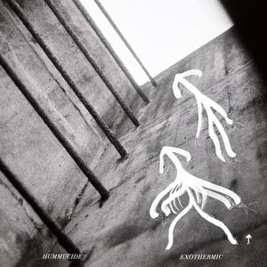 Exothermic (feat. Luca Sturny)